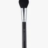A19 Pro Brush - Blush Brush