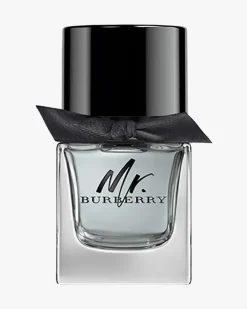 Mr. Burberry EdT