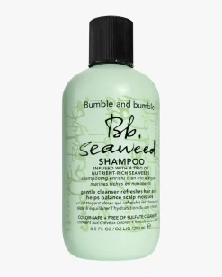 Seaweed Shampoo